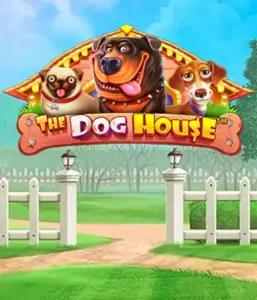 Pragmatic Play's The Dog House, bringing you an adorable journey through charming canines. Discover features such as free spins, perfect for providing exciting wins. Ideal for those who enjoy a lighthearted setting with a chance for big wins.